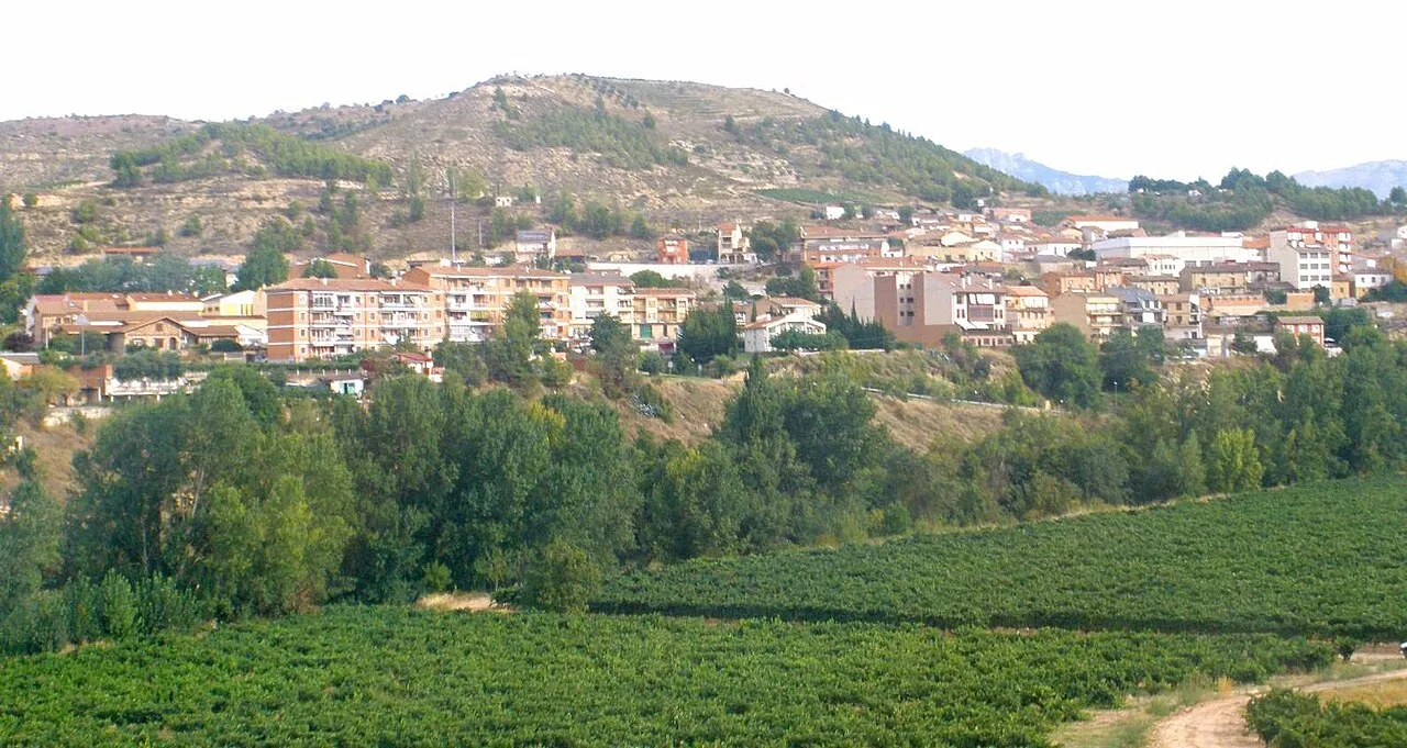 Vista de edificios y viñedos en Lapuebla de Labarca.
