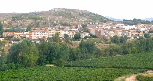 Gebäude und Weinberge in Lapuebla de Labarca.
