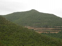 Landschaft mit Wald, Hügeln und Bäumen in Rubió, Barcelona.