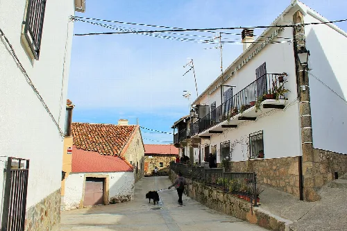 Jarilla-calle típica