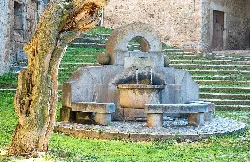 Stone fountain with water and tree next to stone steps