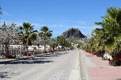 Vista de la entrada a Pruna con palmeras, flores y el castillo en el fondo.