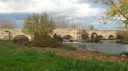 Puente románico de piedra con varios arcos sobre un río con vegetación alrededor.