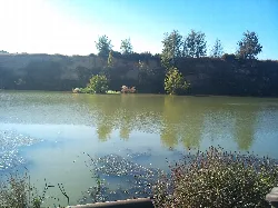 Reservoir with calm water, vegetation, and trees in the background.