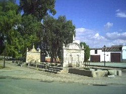 Stone fountain in Hinojosa del Duque with trees and blue sky.