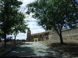 Path with trees and stone wall in Paymogo.