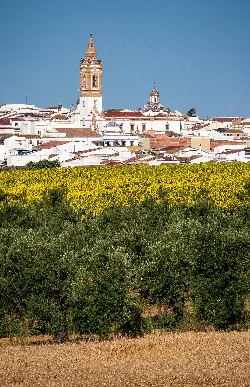 Landschaft mit Feldern und Rociana del Condado Kirche im Hintergrund.