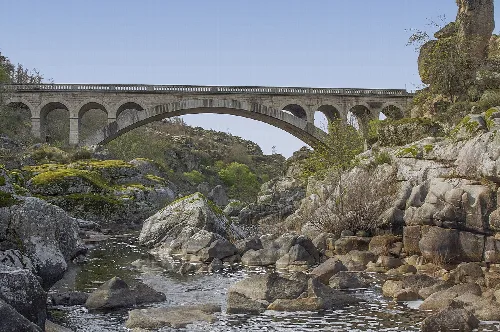 Stone bridge over a river with rocks and vegetation.