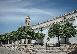 Iglesia de la Asunción con torre y árboles en Cañete de las Torres.