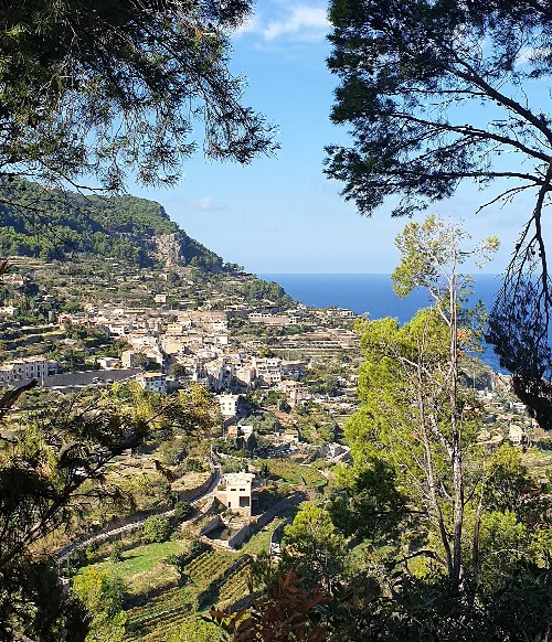 Landschaft von Bañalbufar mit terrassierten Häusern und Meer im Hintergrund.