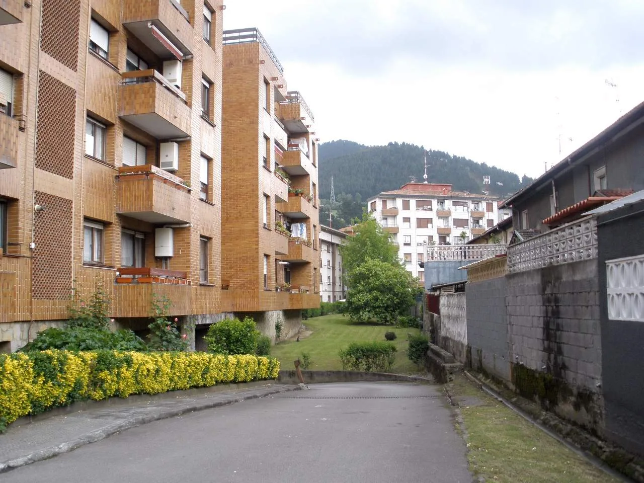 Residential buildings and green space in Arrigorriaga.