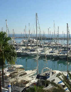 Puerto con barcos y palmeras en Estepona, Málaga, España.