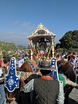 Carreta decorada en la romería de Pruna con muchas personas alrededor.