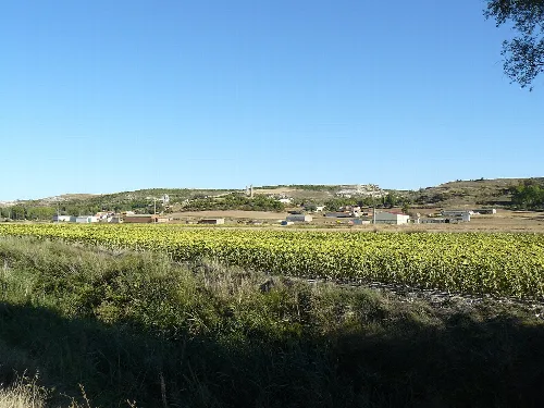 Canillas de Esgueva, Valladolid.