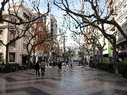 A pedestrian street with leafless trees and people walking in Gandía.