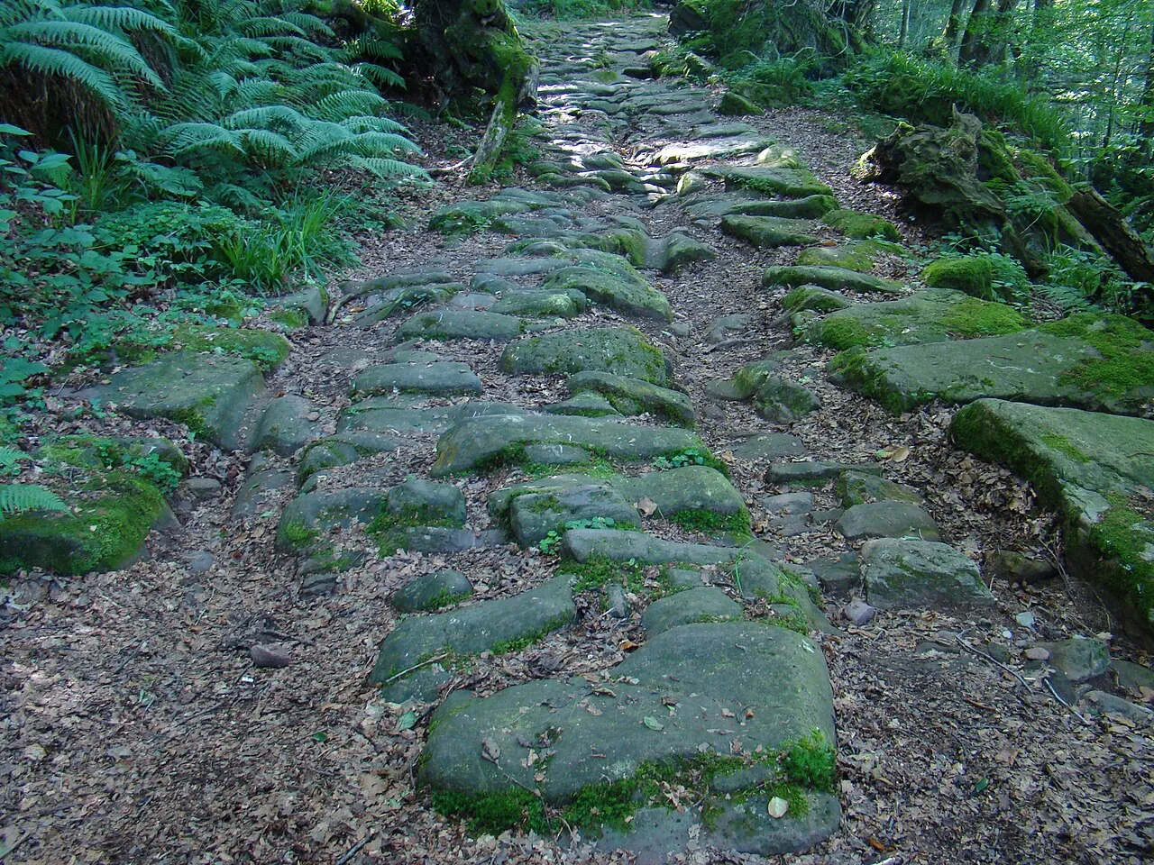 La calzada romana del valle del Besaya o Calzada de los Blendios (Cantabria, España) pertenece a la Via Legione VII Gemina Ad Portum Bledium, cuyo itinerario aparece en la placa I del Itinerario de Barro.  Se inicia  cerca del lugar llamado Somaconcha.