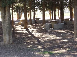 Steintische und Bäume in einem schattigen Rastplatz in Monzón.