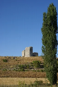 Ruinen einer alten Kirche in einem Feld mit einem hohen Baum rechts.