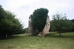 Ruins of an old tower in a grassy field with trees.