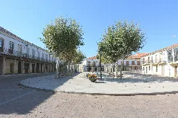 Main square with trees and buildings in Fuentesaúco, Zamora.