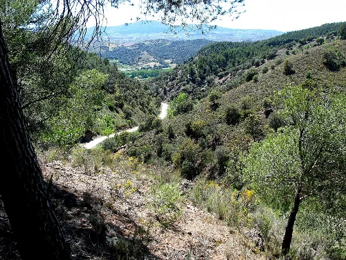 Rambla de Valdemiedes. Sucesiones estratigráficas del Cámbrico Inferior-Medio. Murero (Zaragoza, España). Vista hacia el suroeste.