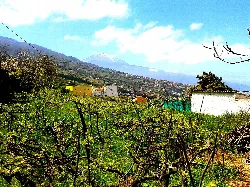 Vineyards and Mount Teide in the distance from La Victoria de Acentejo.