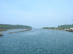 Vista de la ría de Navia, con agua y vegetación a los lados.