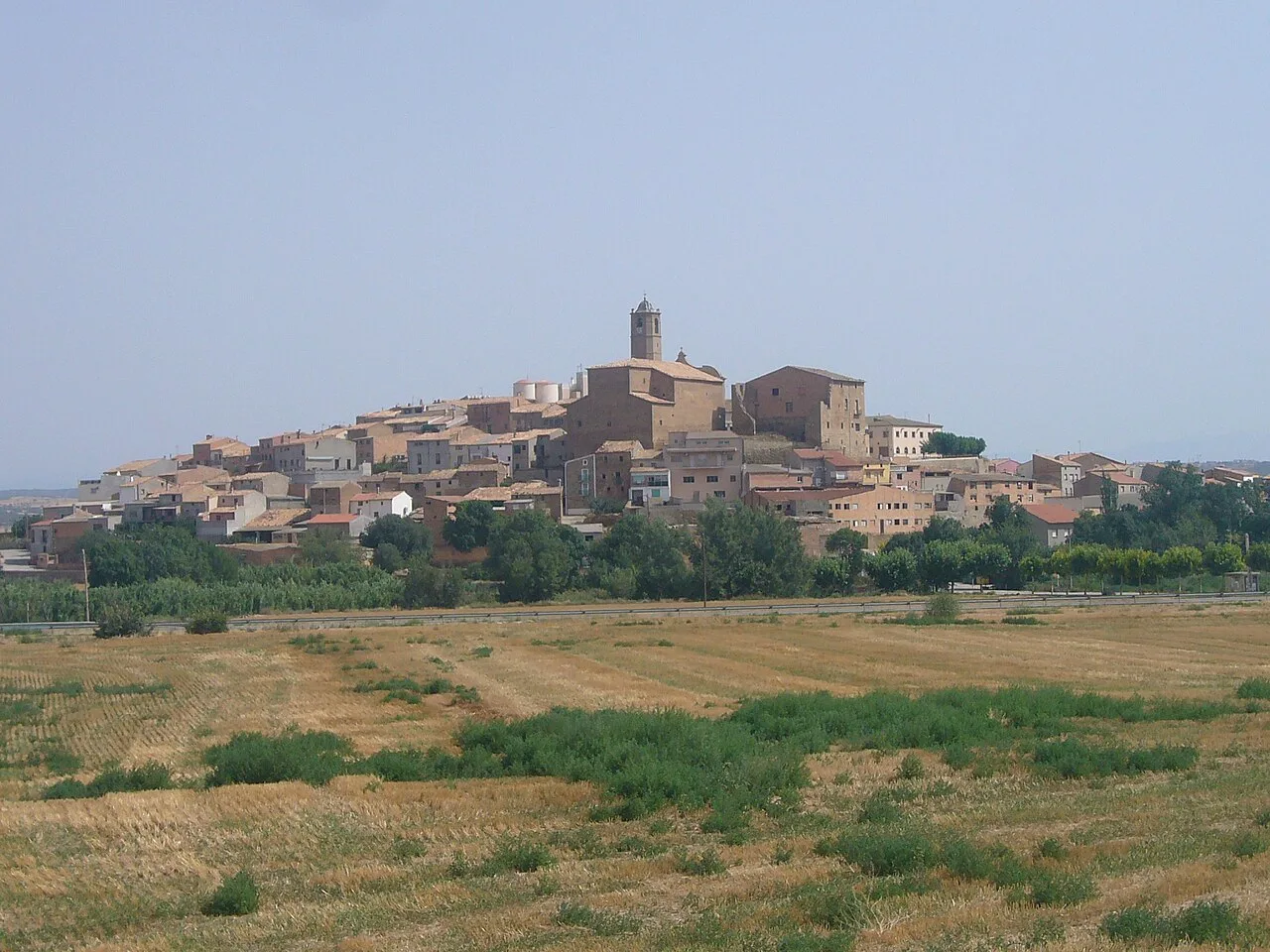 Puigverd d'Agramunt. Vist des del sud