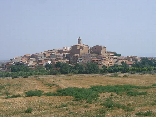 Puigverd d'Agramunt. Vist des del sud