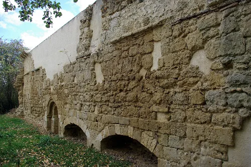Monastery of Saint Savior of Nogal in Nogal de las Huertas (Palencia, Spain). Northern wall.