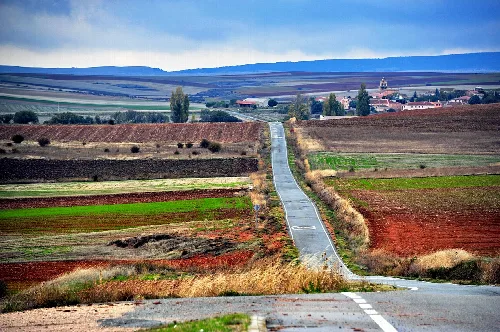 Vista de Encinas en Tierras de Sepulveda