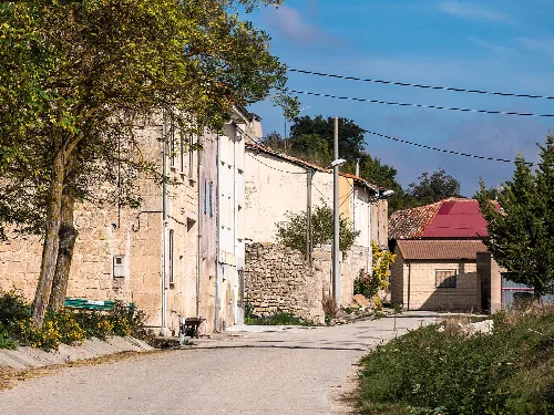 Street with old houses and trees in Reinoso, Burgos.