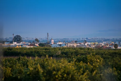 Städtische Landschaft von Brenes mit Gebäuden und Grünflächen.