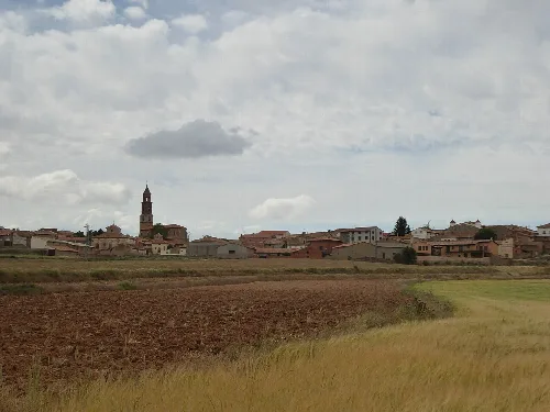 Camañas
