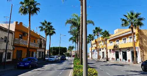 Avenida con palmeras y edificios residenciales en La Mojonera.