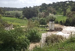 Río Guadaíra con vegetación y torre en Alcalá de Guadaíra.