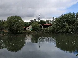 Vista del río con árboles y una casa en la orilla en Boimorto.