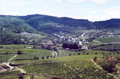 Vista del poble des de el barri de La Rectoria.