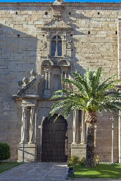 Facade of a church with a classical portico and a palm tree in front.