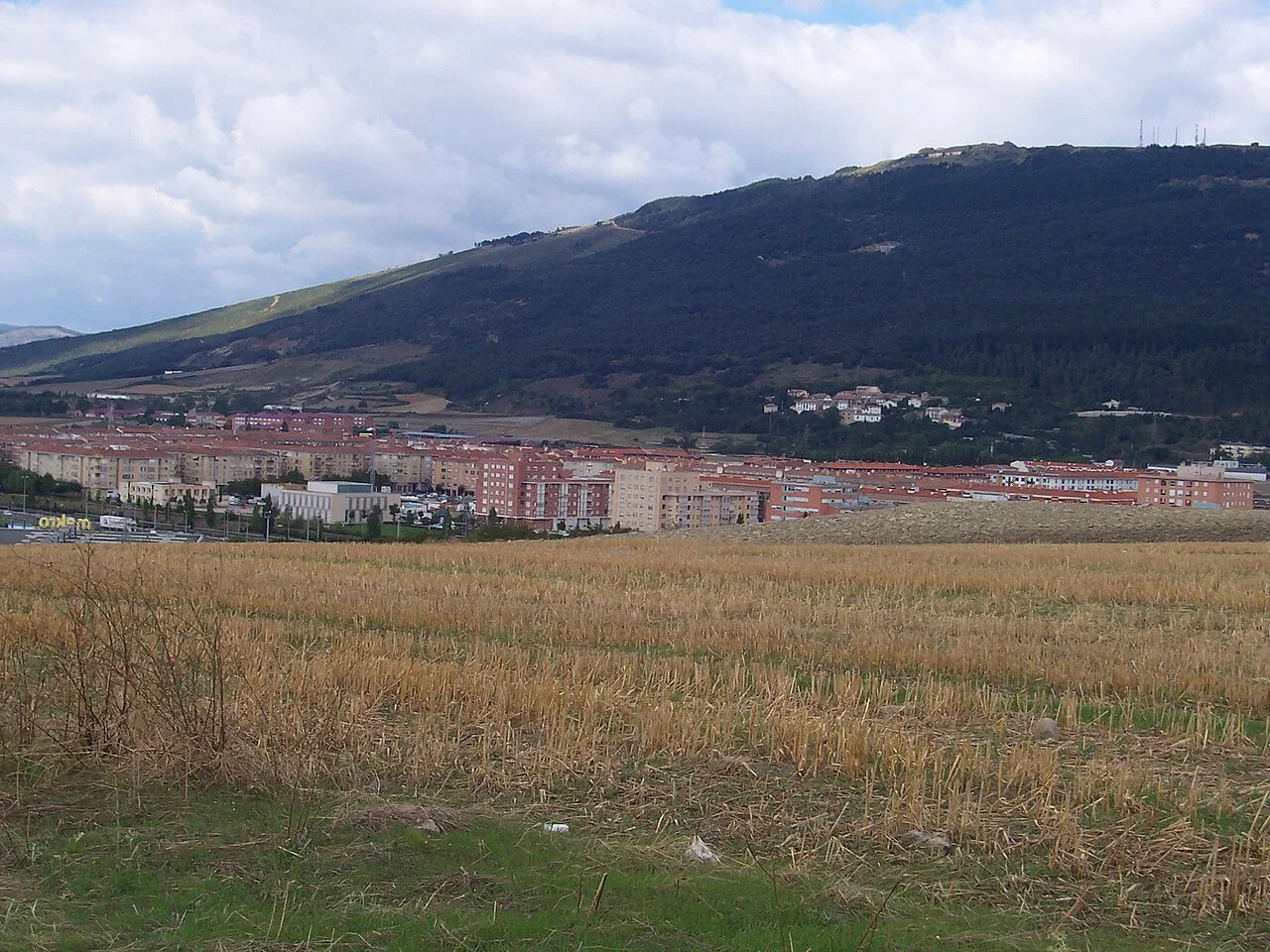 Herria urrutitik ikusia.