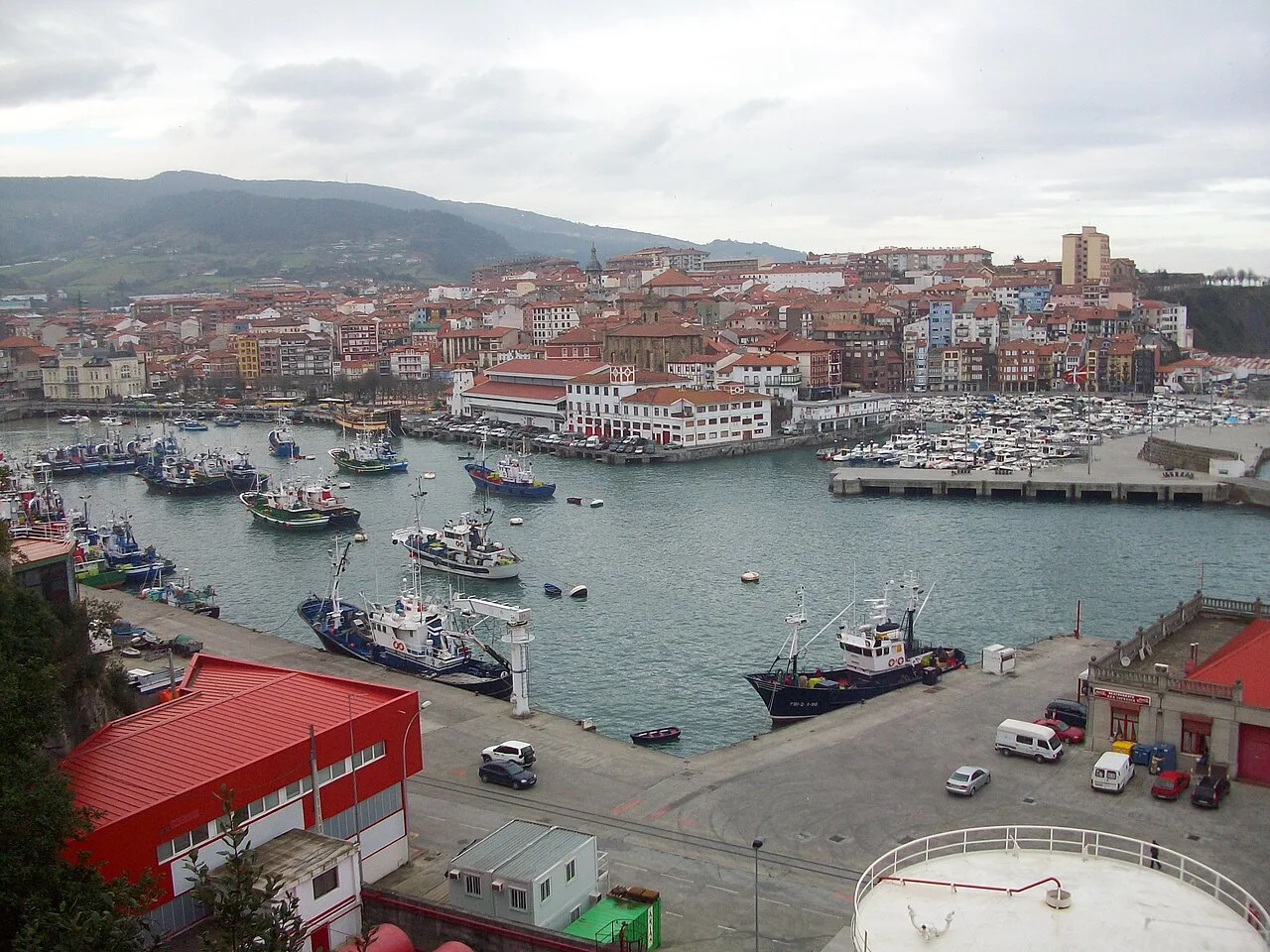Puerto y edificios en Bermeo, Vizcaya, con montañas al fondo.