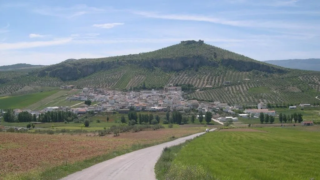 Blick auf eine Stadt in einem Tal, umgeben von Hügeln mit Weinbergen und Vegetation.