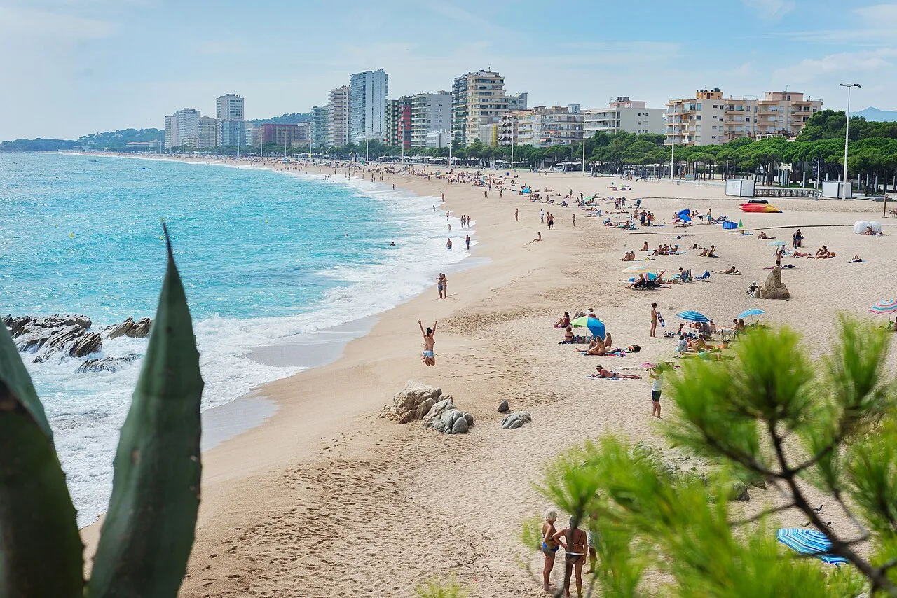 Vista de la playa con arena, agua y edificios en el fondo.