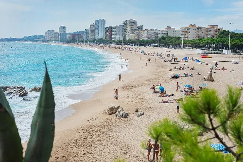Blick auf den Strand mit Sand, Wasser und Gebäuden im Hintergrund.