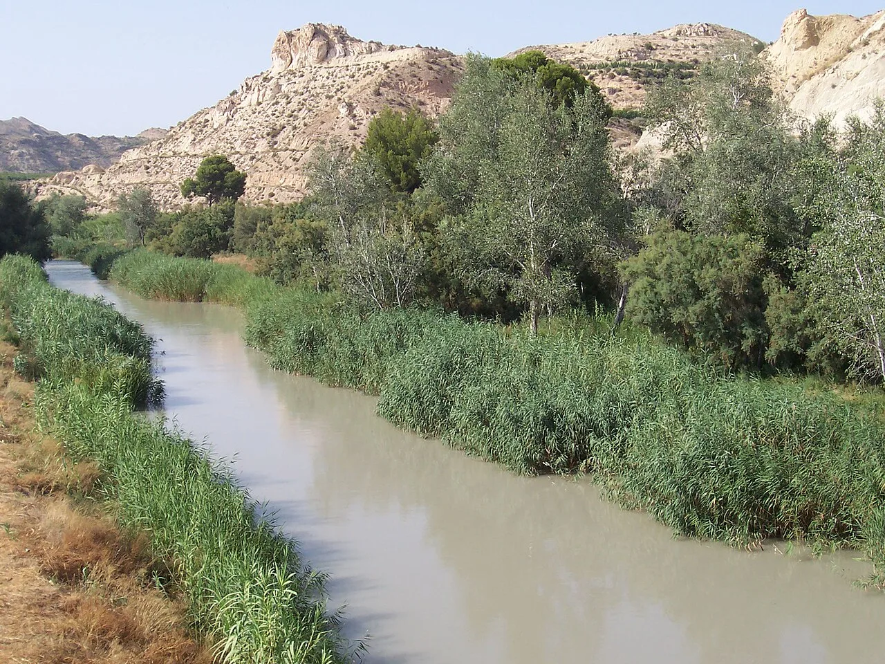 Segura-Fluss mit Vegetation und Bergen im Hintergrund in Archena.