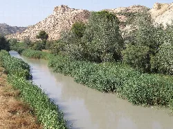 Segura-Fluss mit Vegetation und Bergen im Hintergrund in Archena.