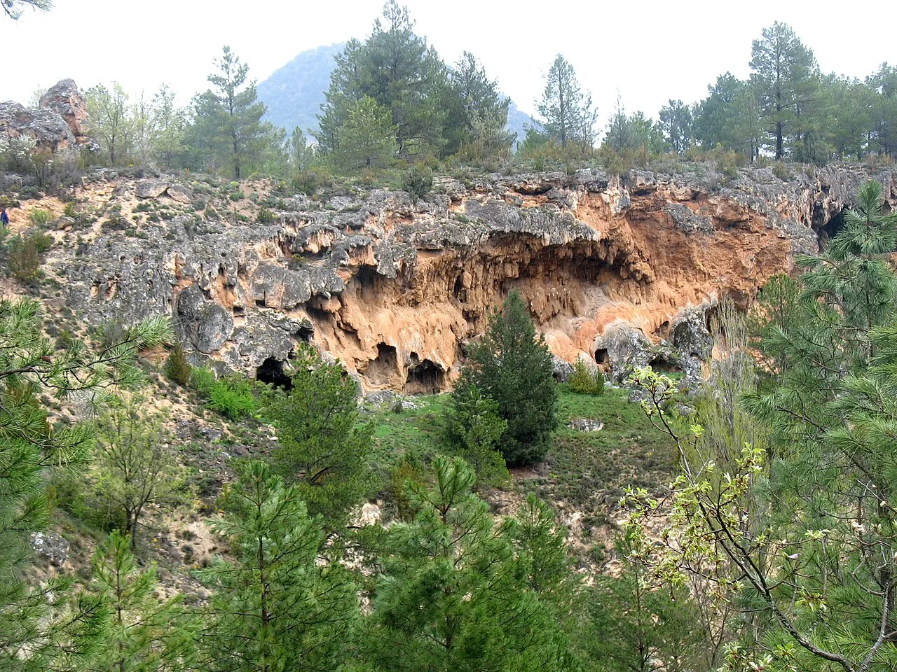 Calcareous formations and greenery at El Campillo, Zaorejas.