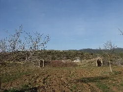 Entrances and exits of the air-raid shelter at El Toro, Castellón