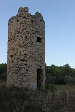 Torre de piedra cilíndrica en un campo con árboles al fondo.
