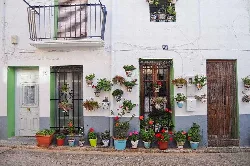 Casa con paredes blancas, puertas y ventanas con rejas y muchas macetas con flores.